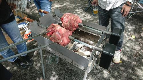 IMG 2037